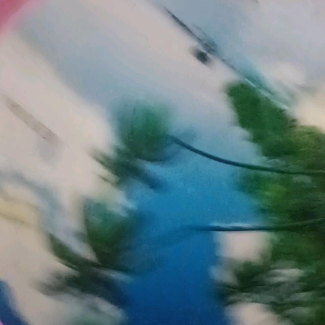 动感🎶