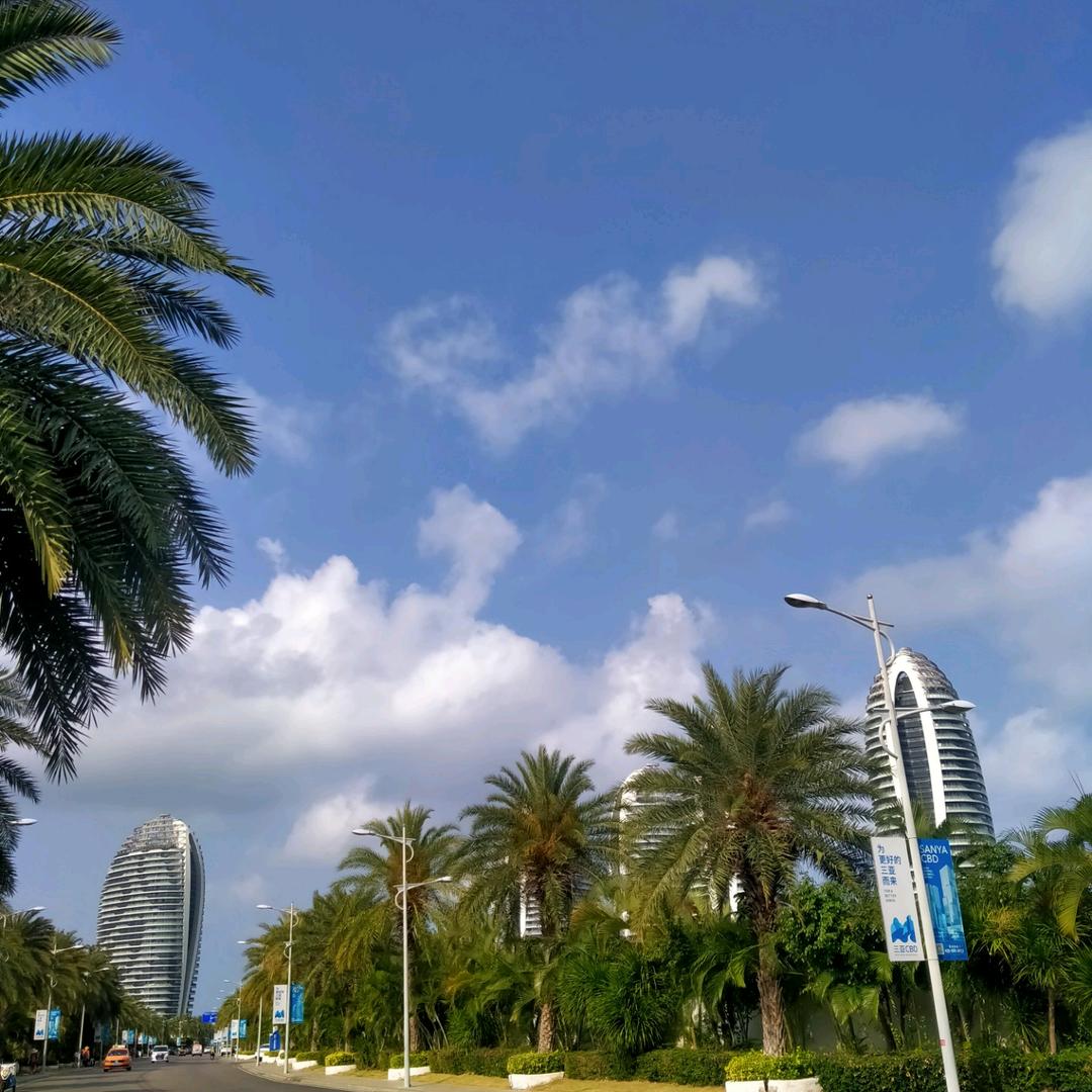 🌴🌴🌴🌴二妹🍀🍀🍀🍀