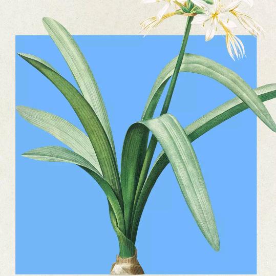 吵了一个不说话的架