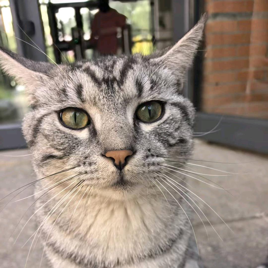 怎么开心怎么来