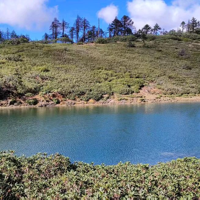 ∧w  Nl，Nn：SU_🌿🌿?