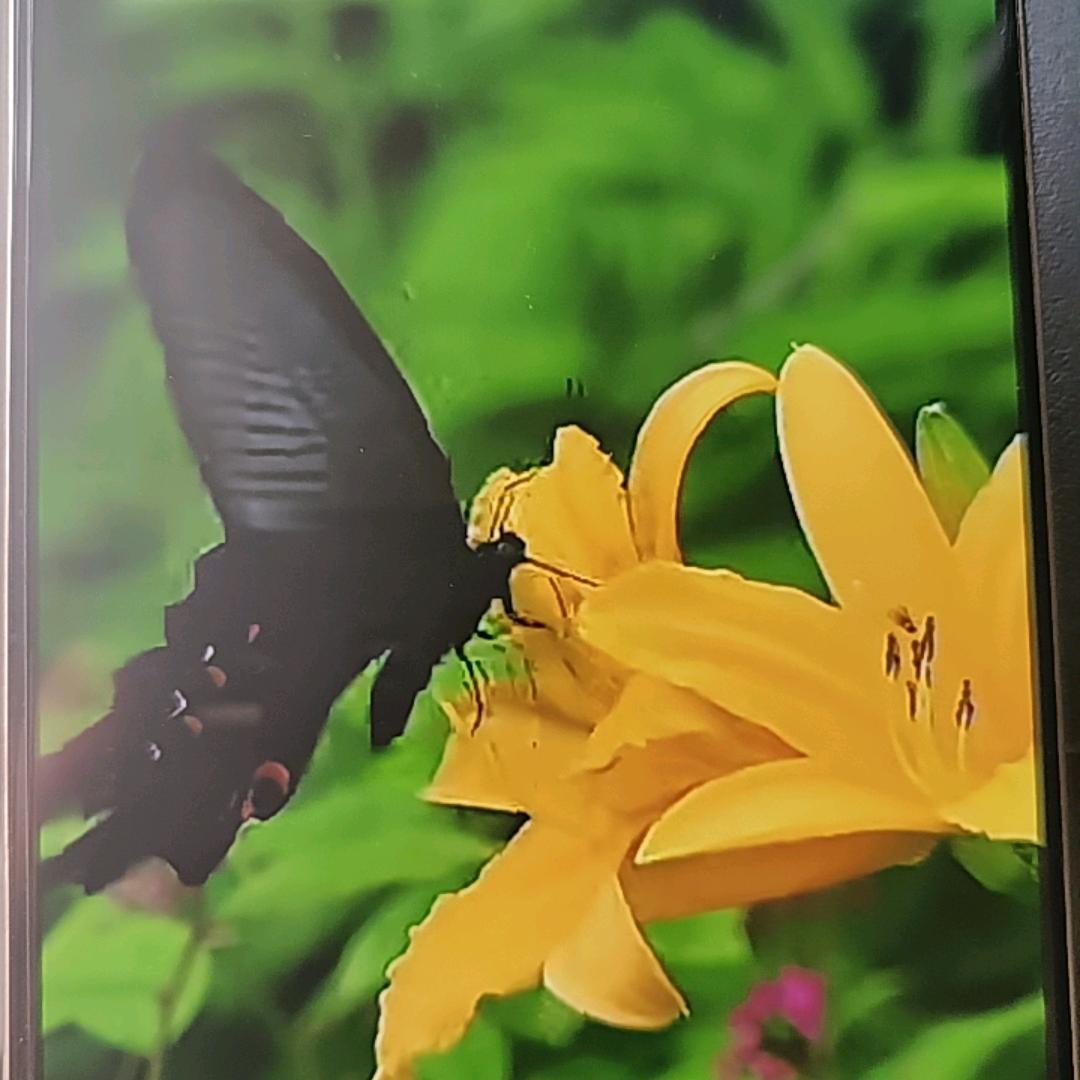缘起缘落