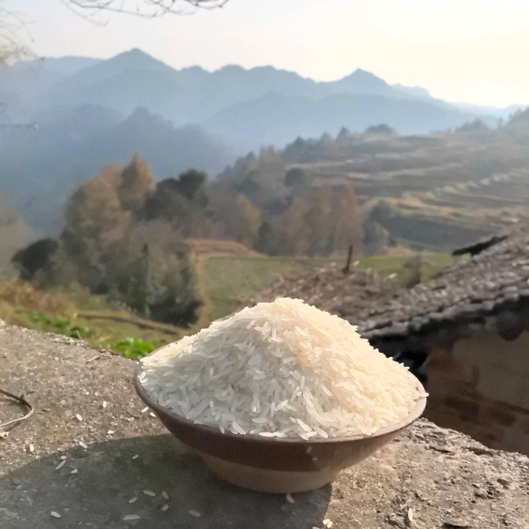 大米小哥