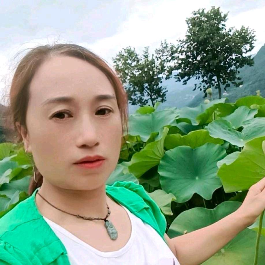 杨姐吖好物