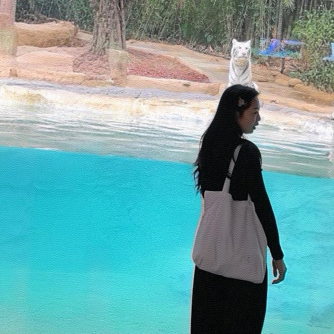 花木兰