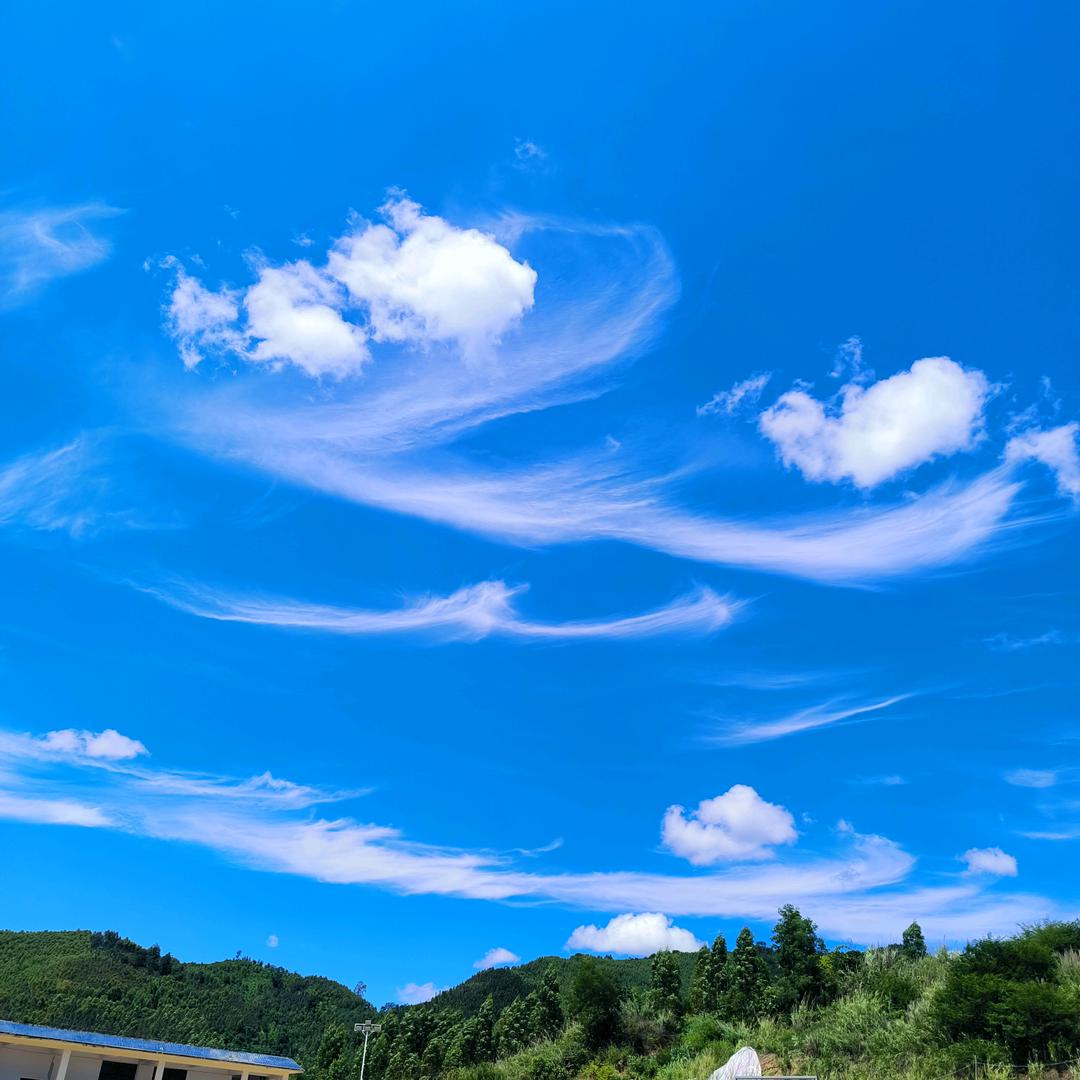 来自青龙山谦虚的不然呢