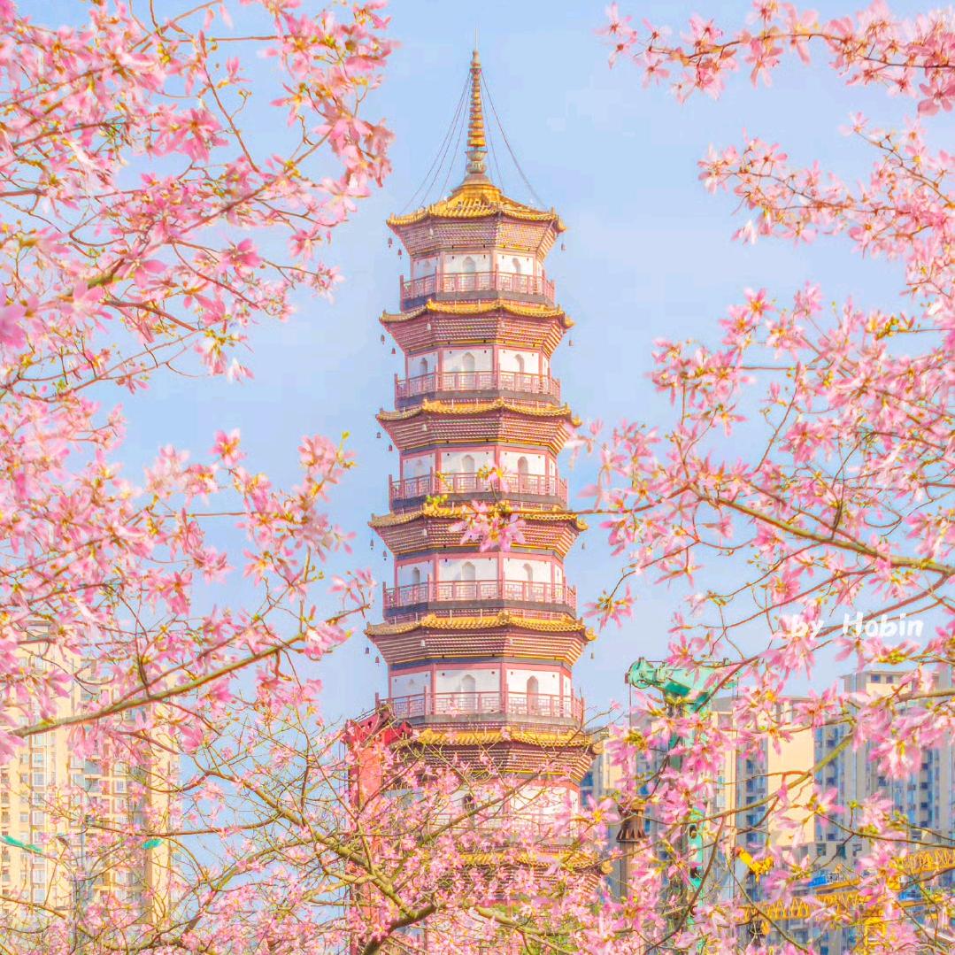 小太阳