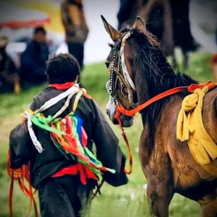 ࿄སེམས་~~རྟ་ཕོ🐴