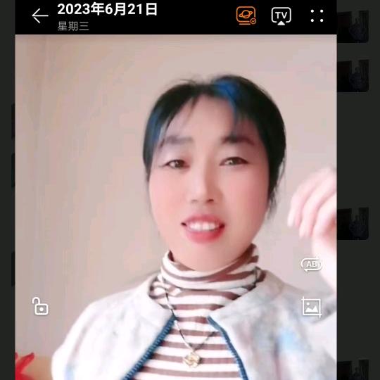 一枝梅