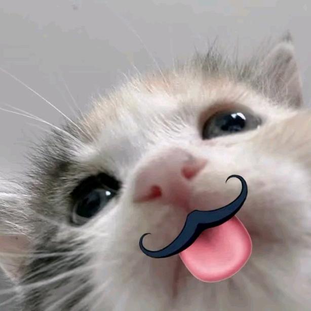 笑笑