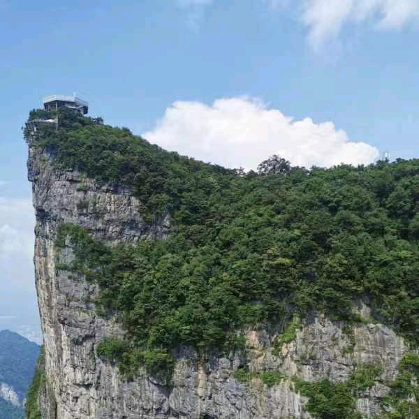 青崖