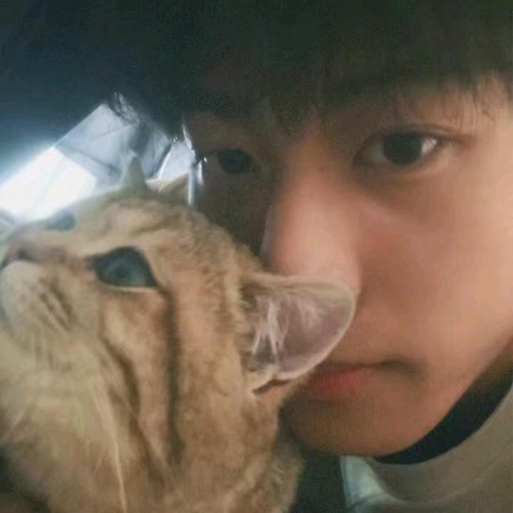 鱼儿