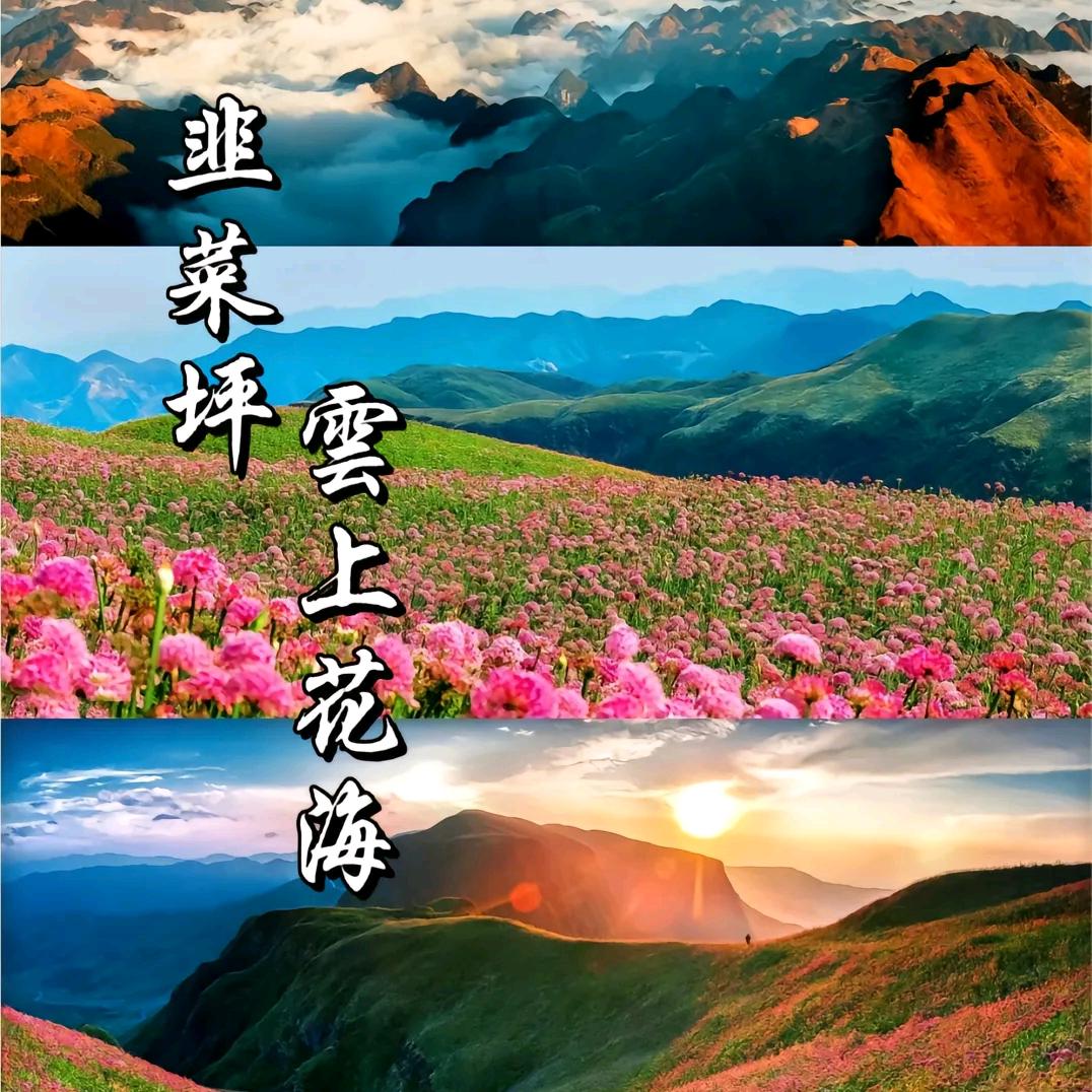 魔   尊
