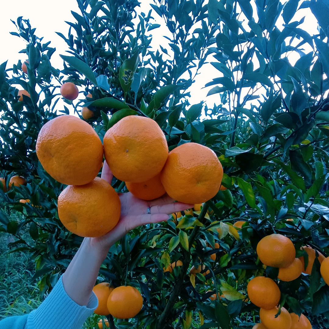 巴中润博农业有限公司