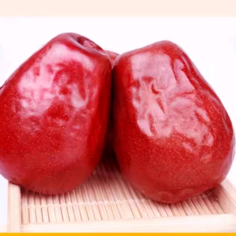 西红柿🍅