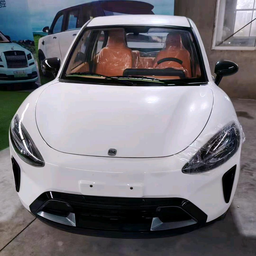 丽恒新能源
