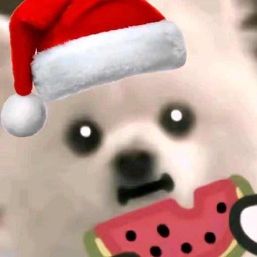 梦求假（暗区突围）宠粉号