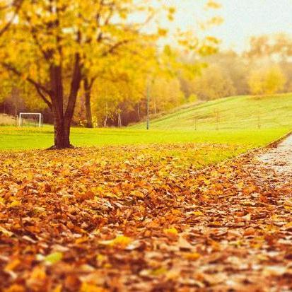 费一手(一切都会好起来的）