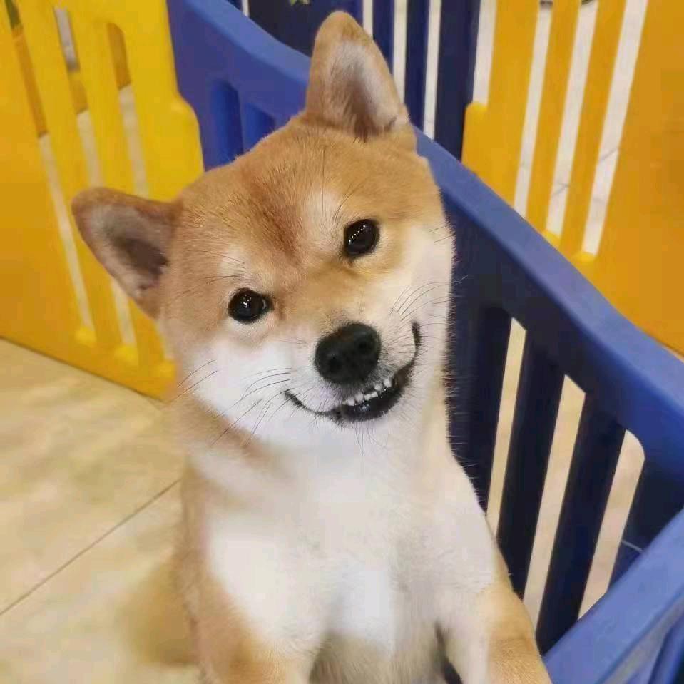 五✋