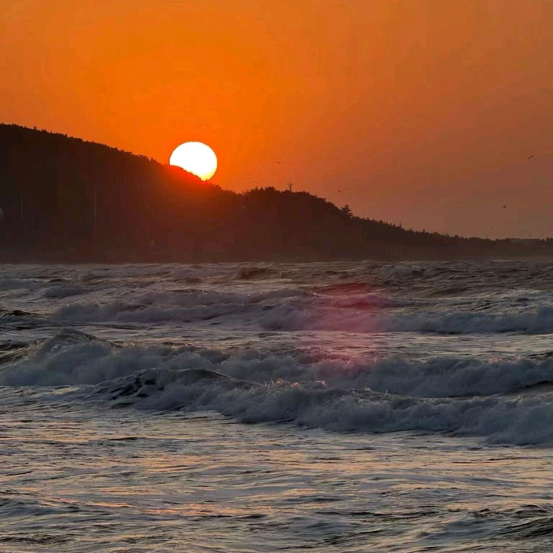 1991海   纳百 川