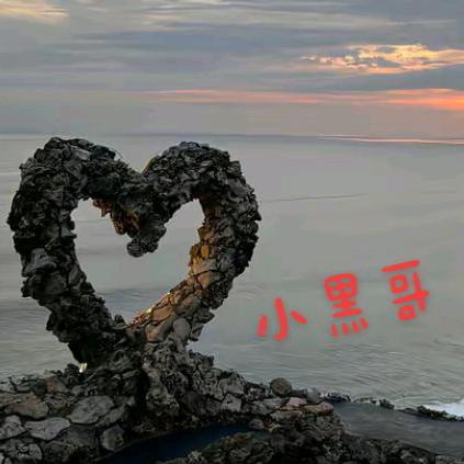 单身🌴小🌴黑🌴