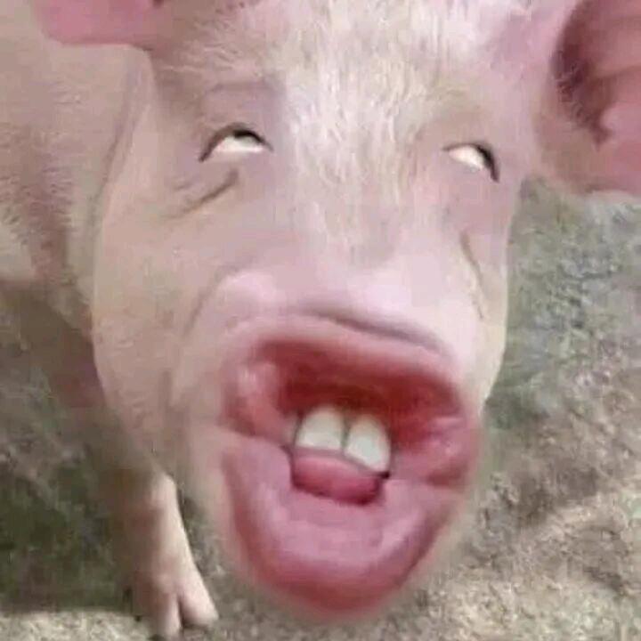 155.1纯情帅奶虚弱辣条音努力变富