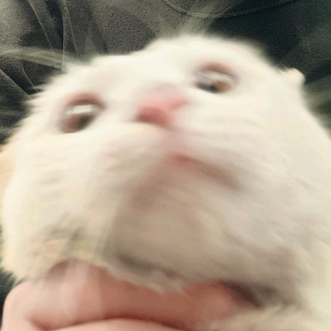 爱挖野菜去种田