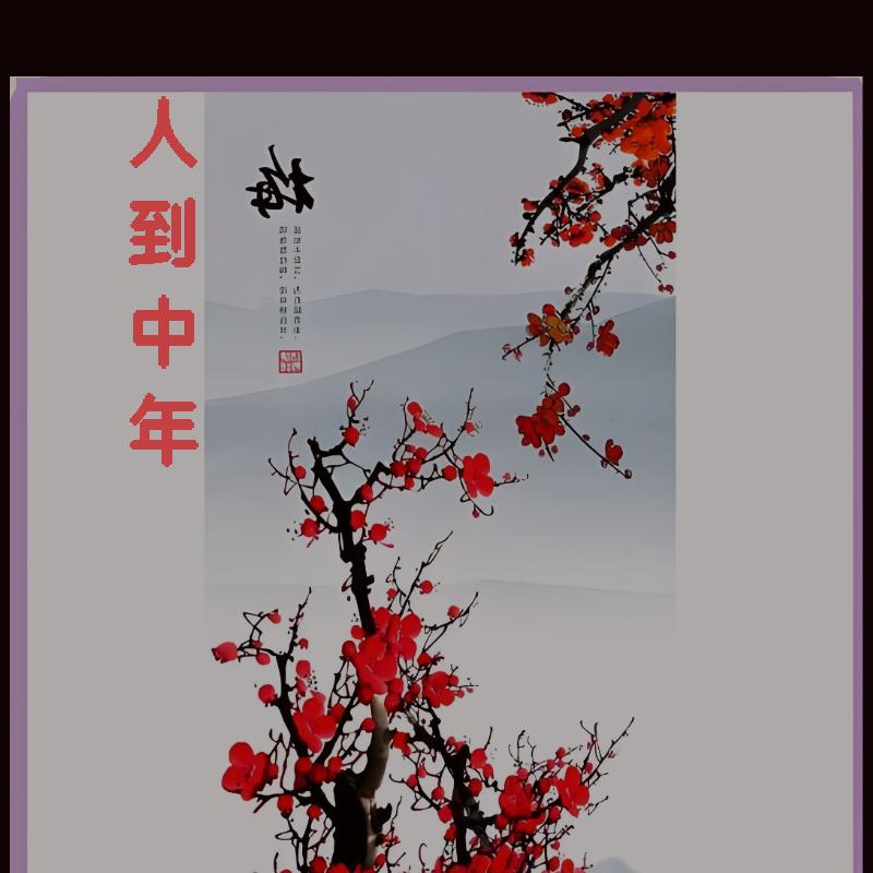 人到中年