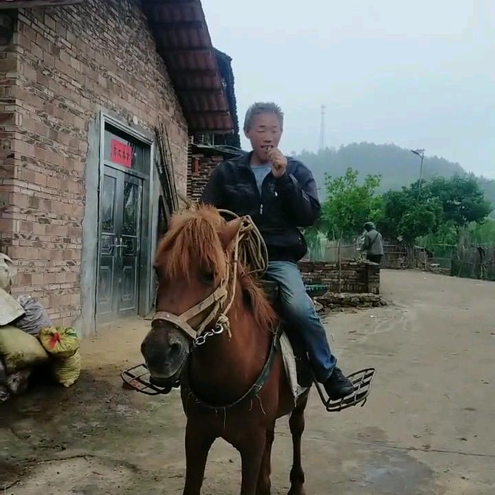 老四