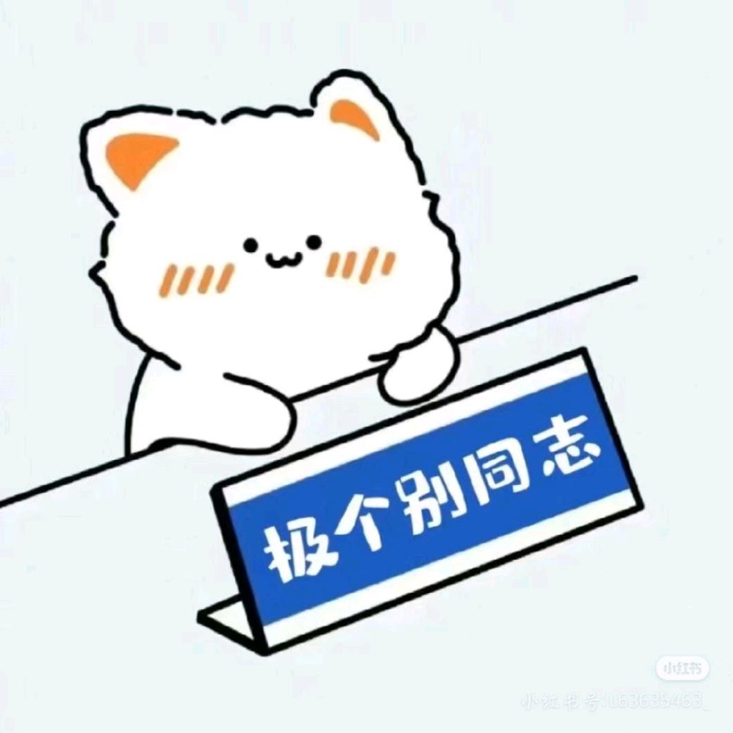 觉悟AI锦安