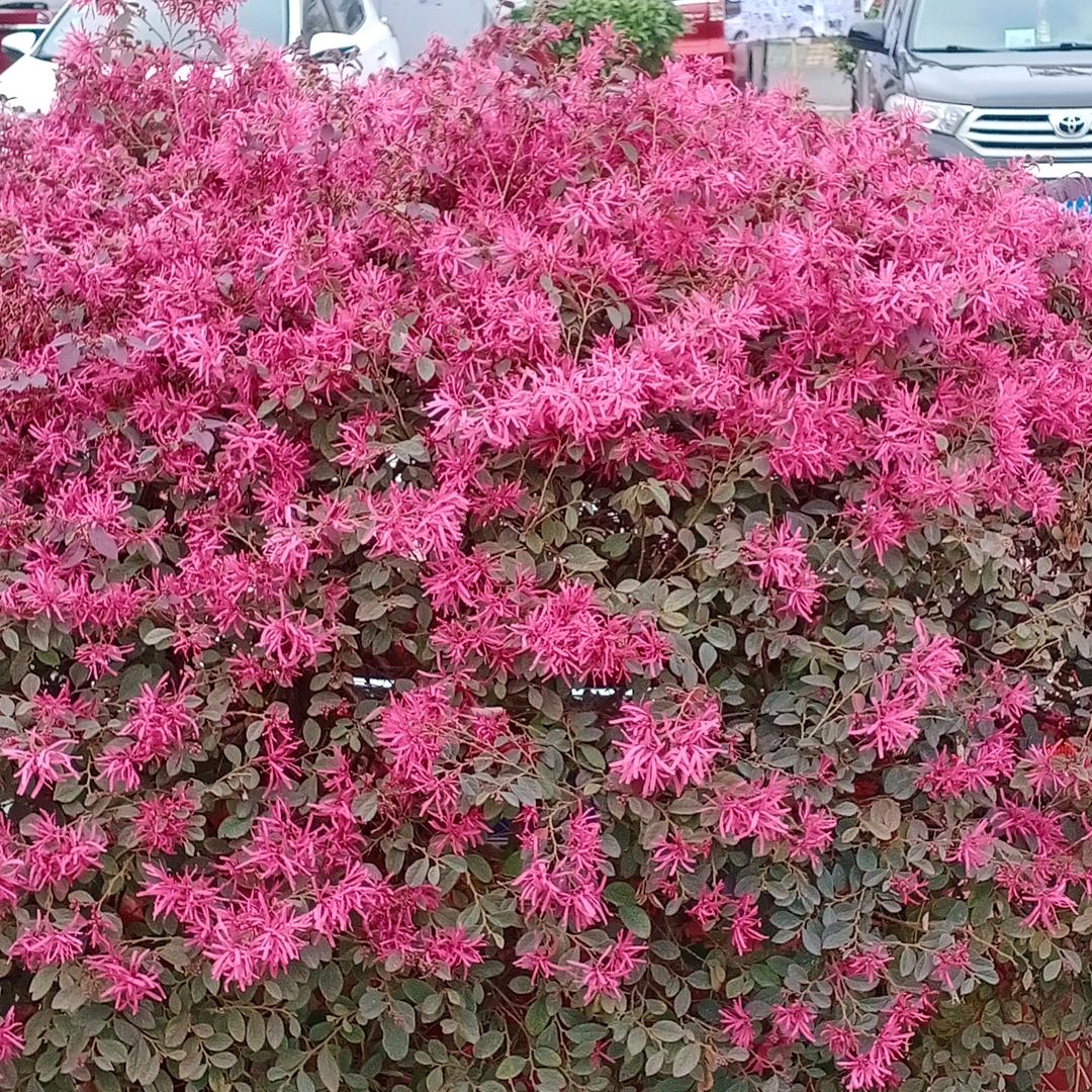 开心过好每一天