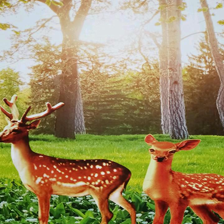 棋奶奶·对口型-娱乐❤️☕️🌹