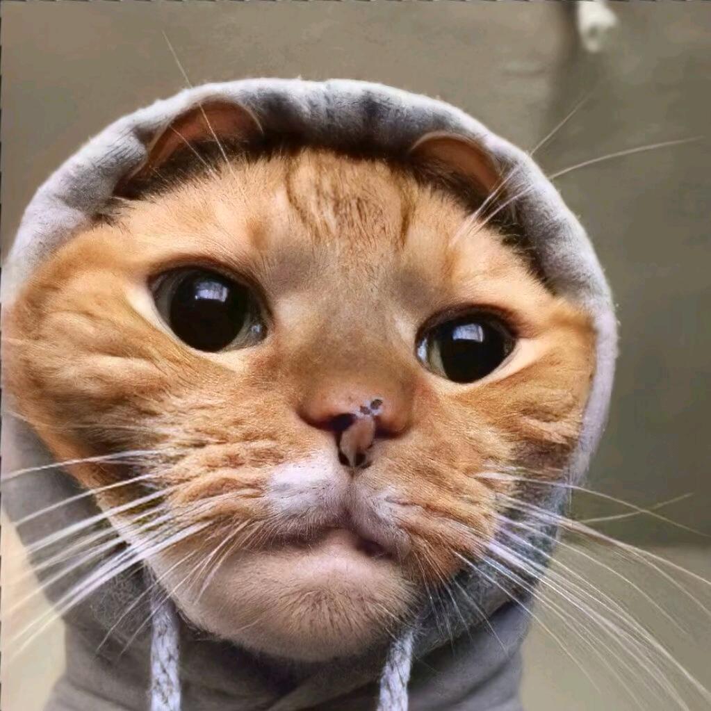 随时