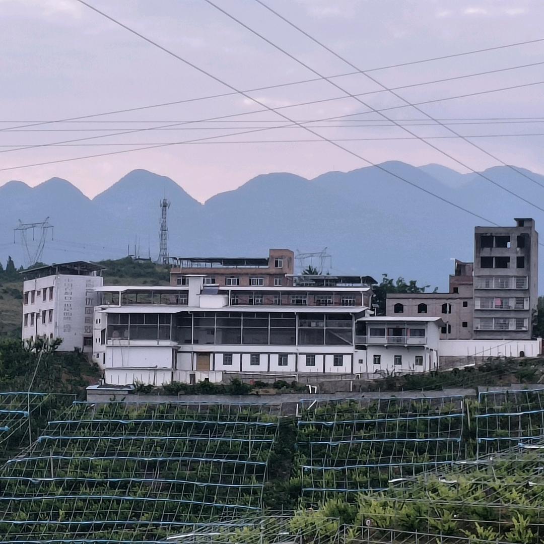 华西子好物专场