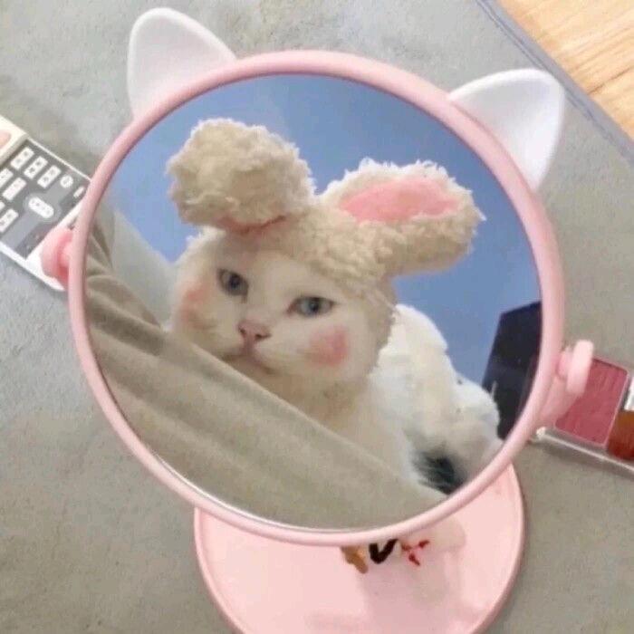 🇦