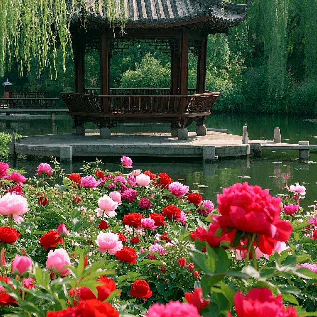 懒 懒