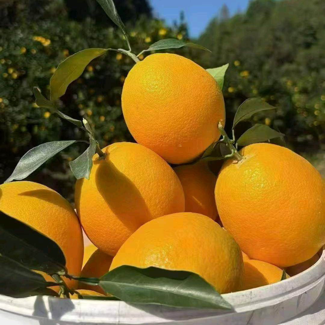 赣南生态农产品旗达店