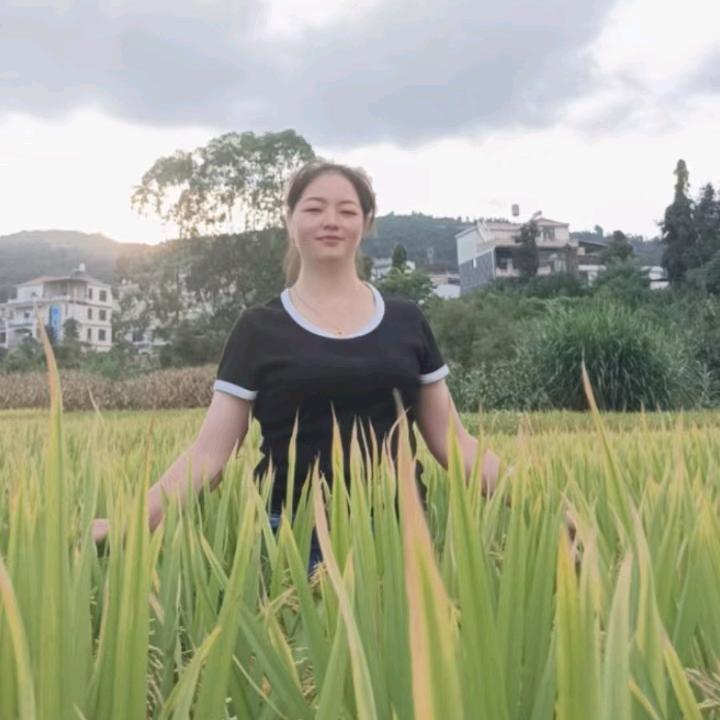 平凡的自己