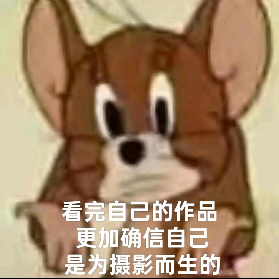 我以为的以为