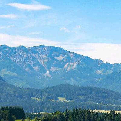 佳雨便利店(浅水湾店)哈哈嘿点直播号