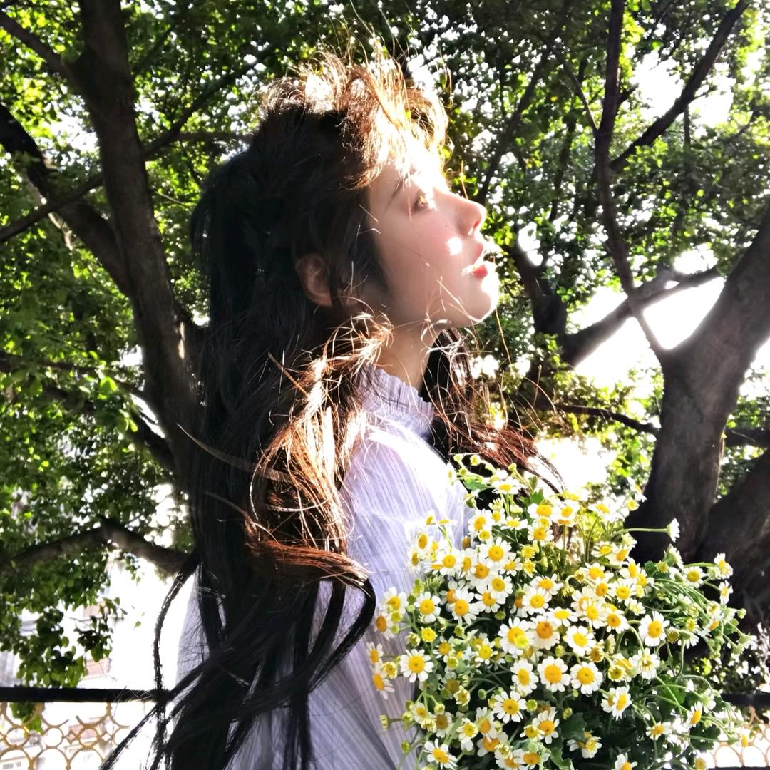 花狐旅行社5