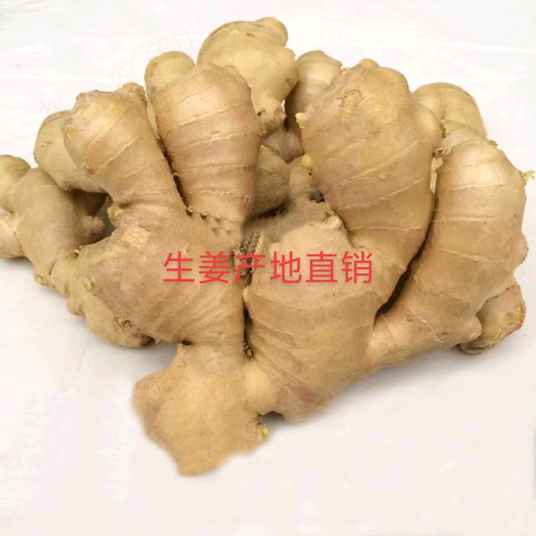永龙果蔬