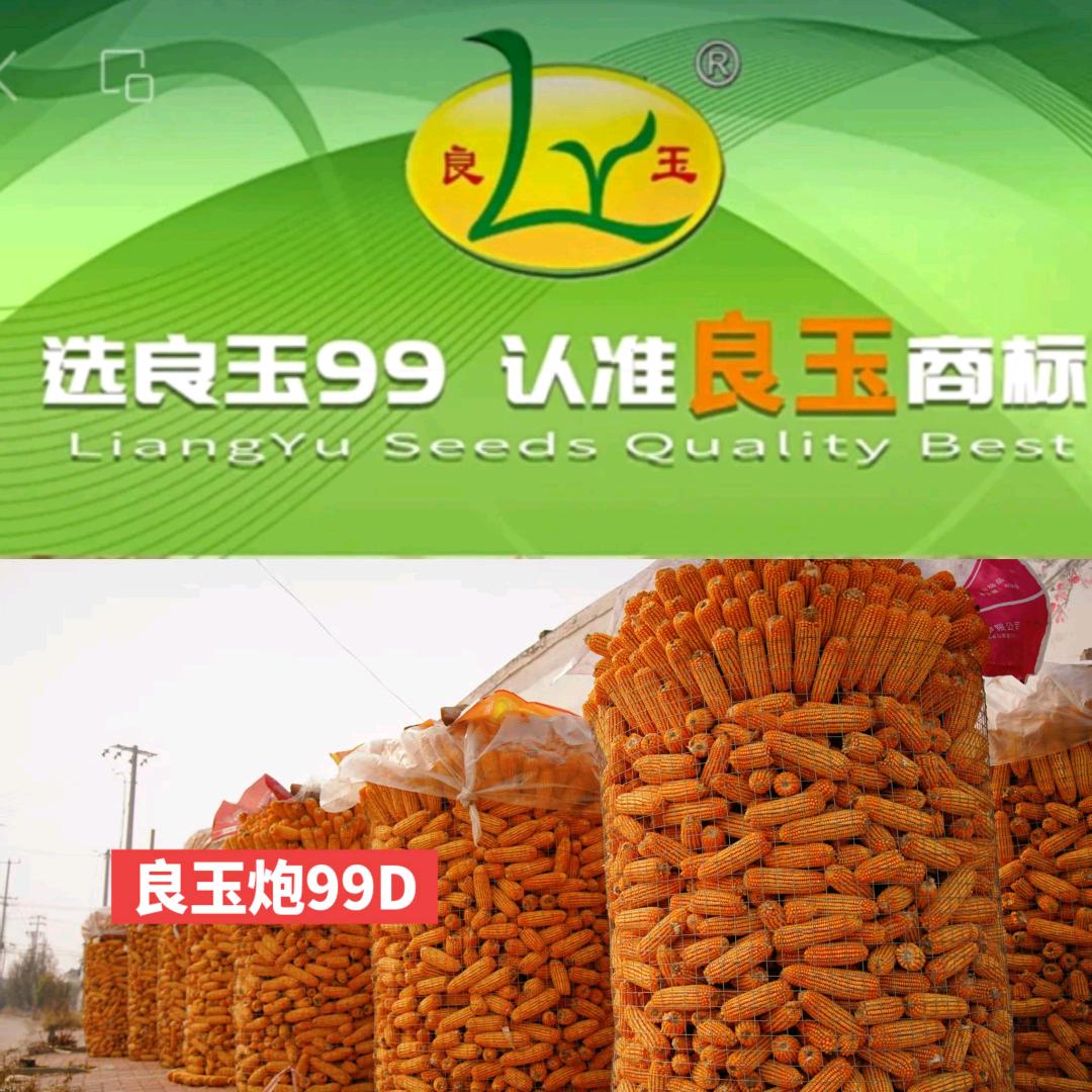 良玉炮一一唐河良超农资