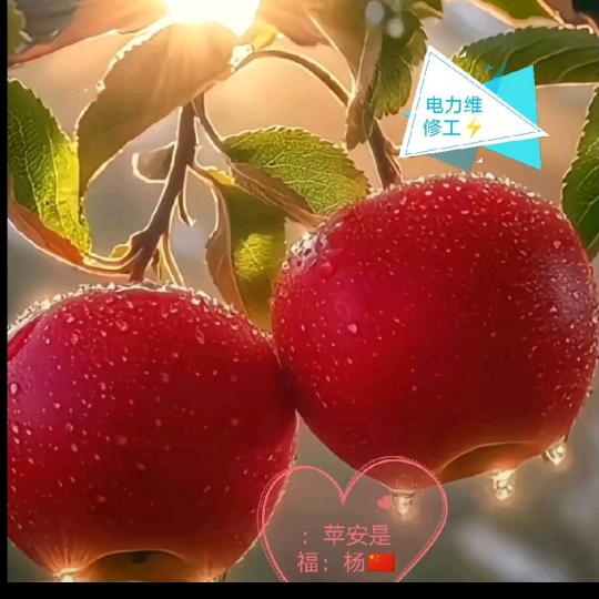 @爰旅汐杨