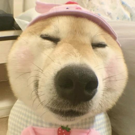 在雨夜喂鸡