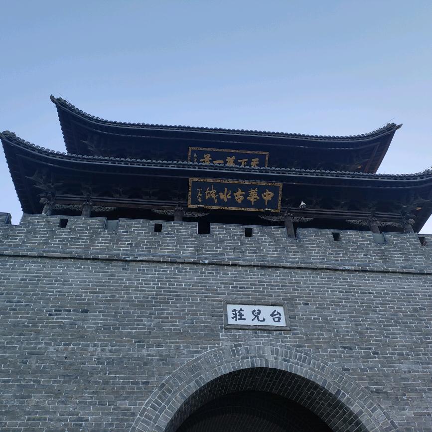 狮横天下