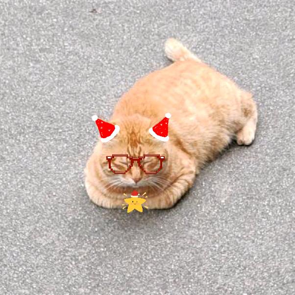 糖🍬
