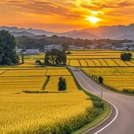 田田园园