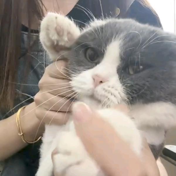 小雅彩妆工作室