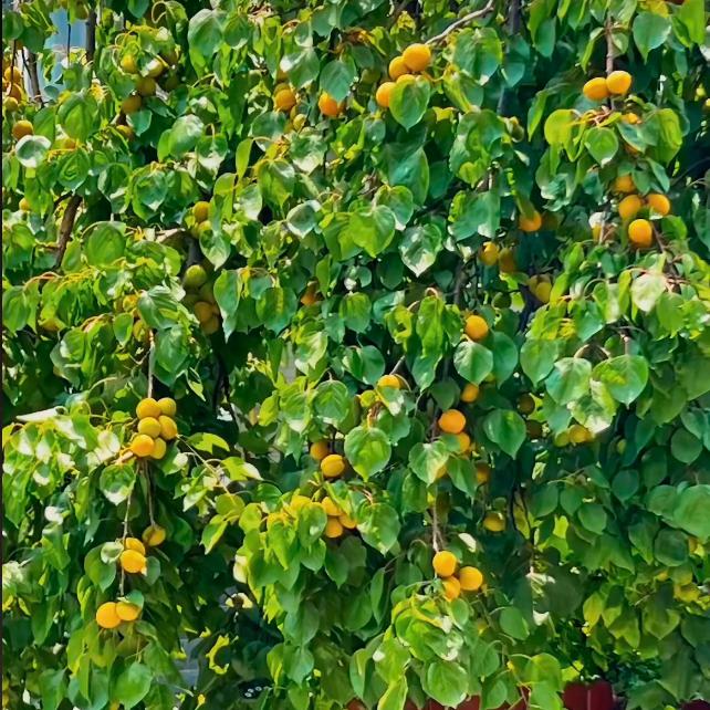 💕ꦿ҉好ᨶ႒ᩚ运ᥫᩣ໌້ᮨ加满✨